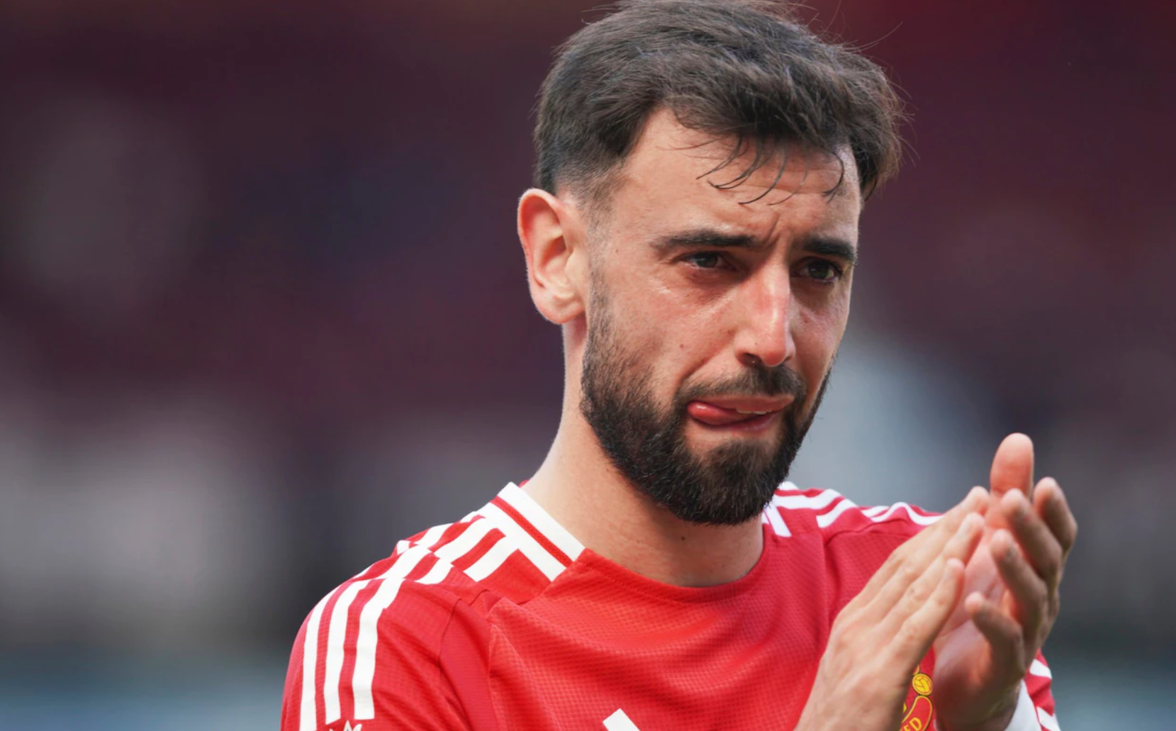 真大腿！电讯报：B费近五年创造机会、参与进球等数据均领跑五大联赛